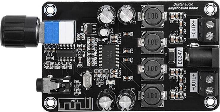 Torribaly DC12V-24V Class D Amplifier Module