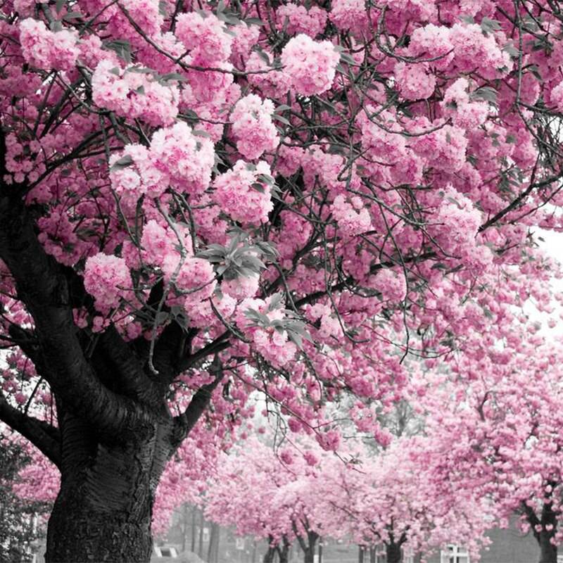 5D DIY Diamantmålning Kit Rosa Blomsterträd Rund Borr
