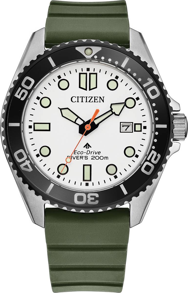 Diver
