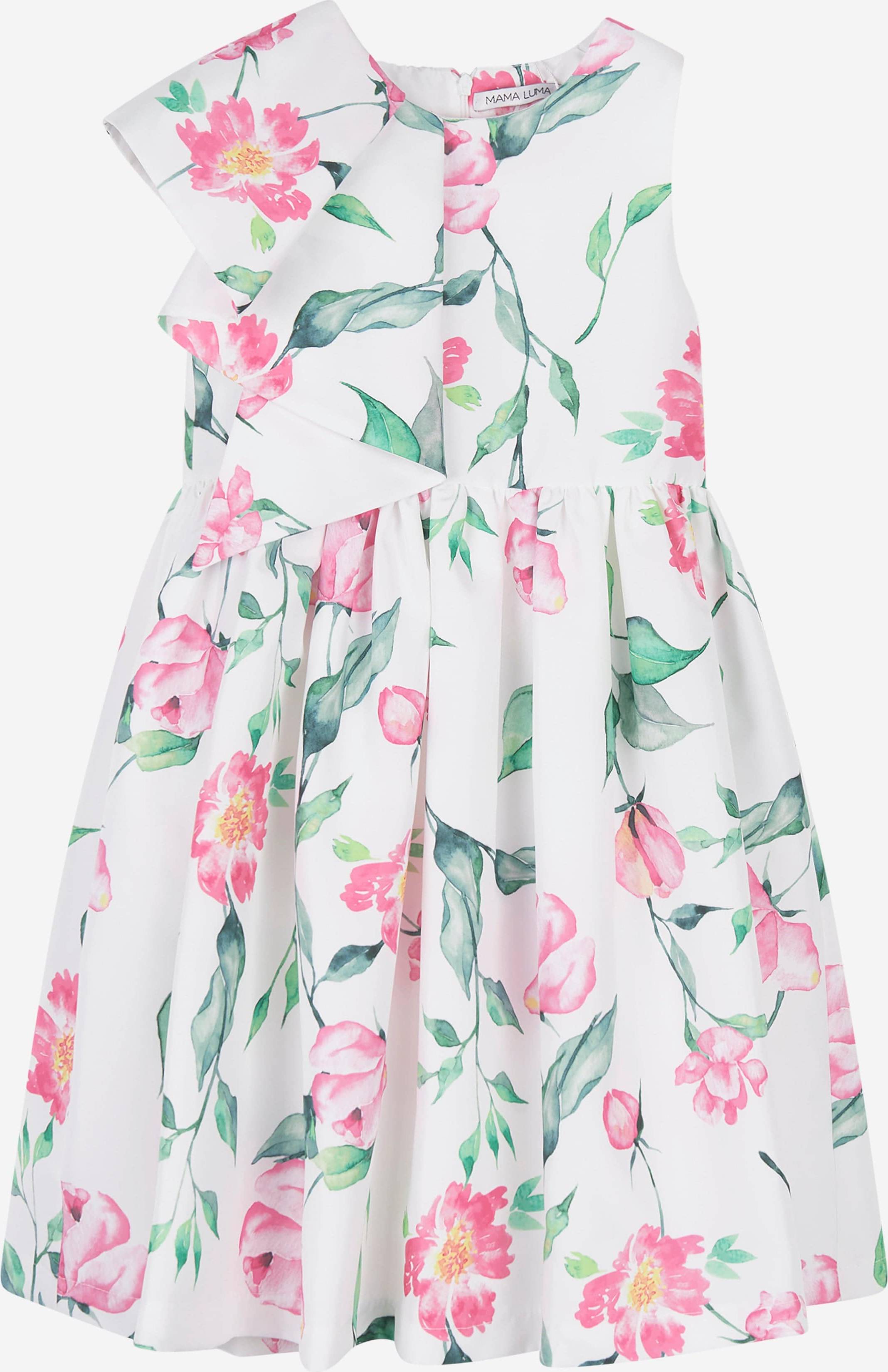 Girls Ruffle Floral Print Dress - Multicoloured