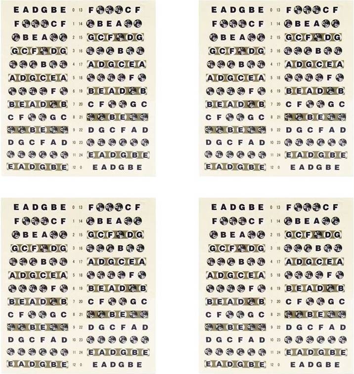 Typecat 4X Guitar Fretboard Note Decals Sticker