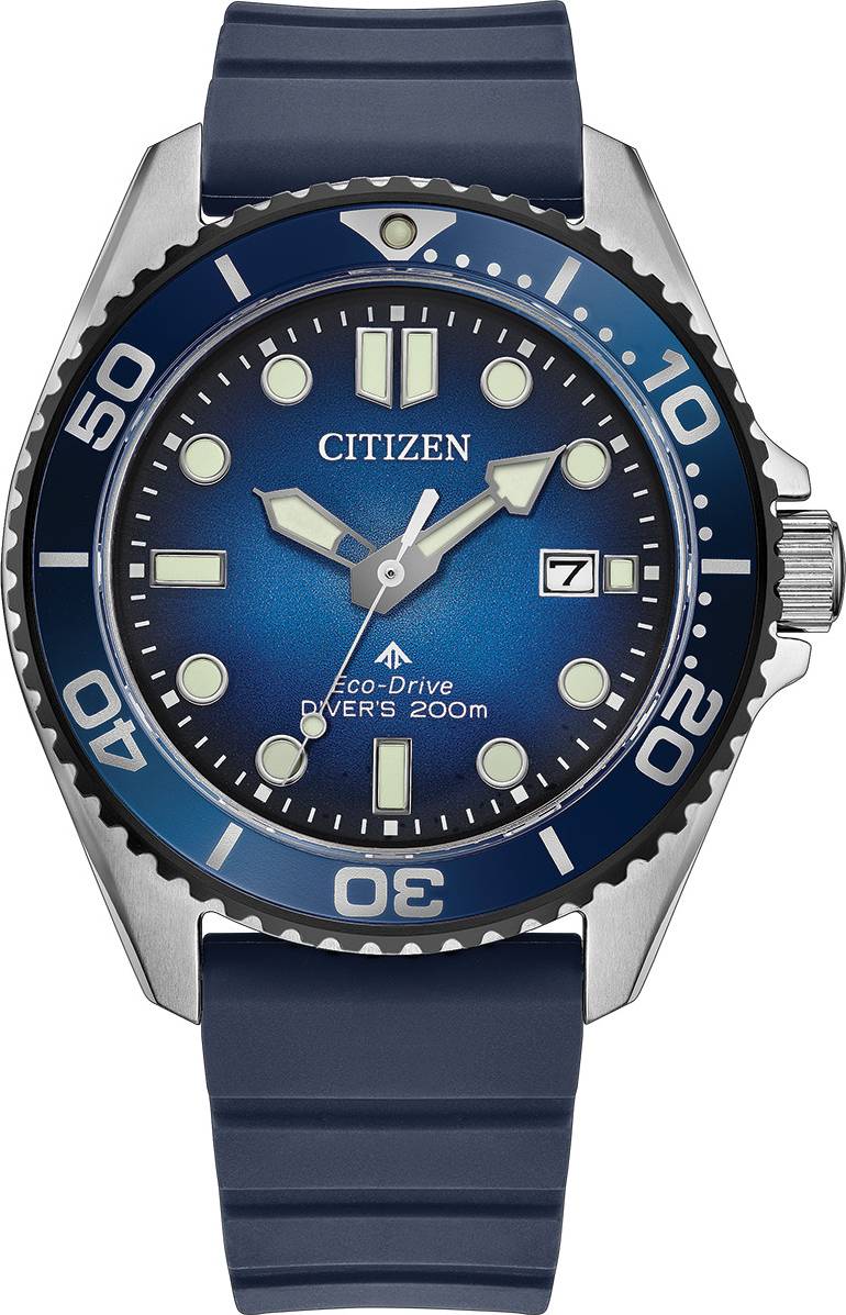 ProMaster Diver