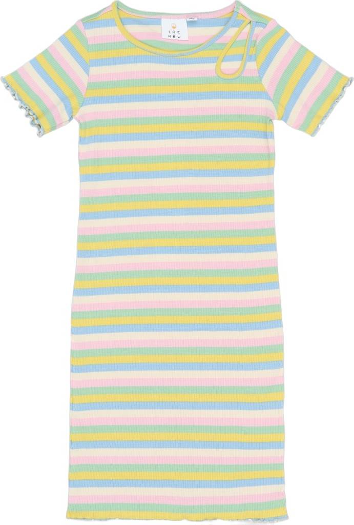 The New Tnstella S_S Rib Dress Multi Patterned