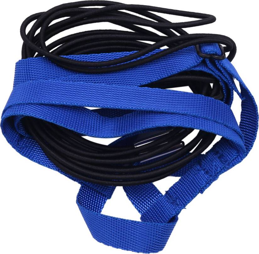 Typecat Pet Bird Harness Adjustable Training Rope