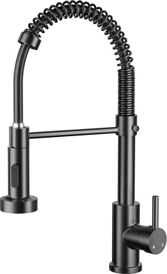 Brayden Studio Spring Kitchen Sink Mixer Taps