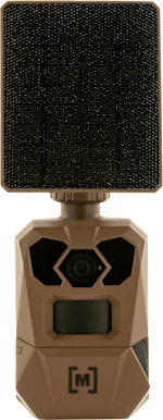 Edge 4 Solar Cellular Trail Camera