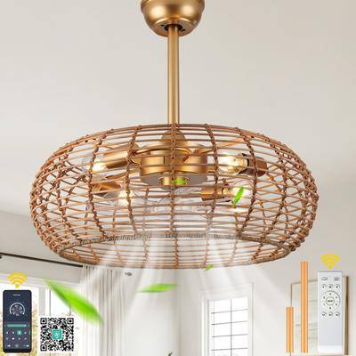 Rattan ceiling fan Oaks Aura 24 Inch Rattan Caged Ceiling Fan