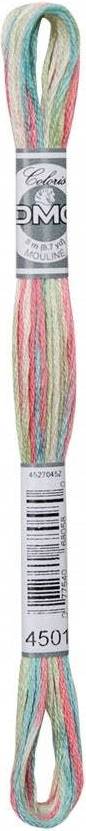DMC Coloris Embroidery Thread 4501