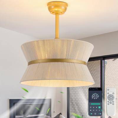 Rattan ceiling fan 20 Inch Hourglass Rattan Caged Ceiling Fan