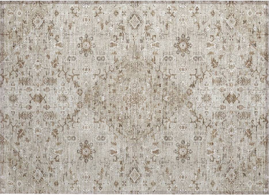 Addison Rugs Traditional Sahuarita Chantille Rug Indoor Outdoor
