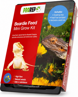 ProRep Beardie Feed Mini Kit