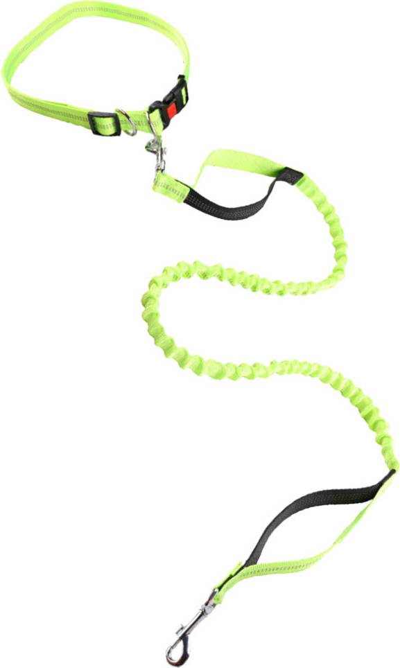 Solustre 3Pcs Dog Leash Pet Traction Rope Set