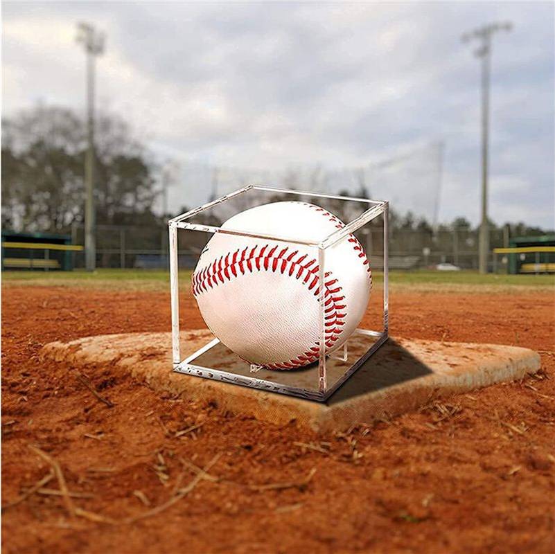 18Pcs Baseball Display Case