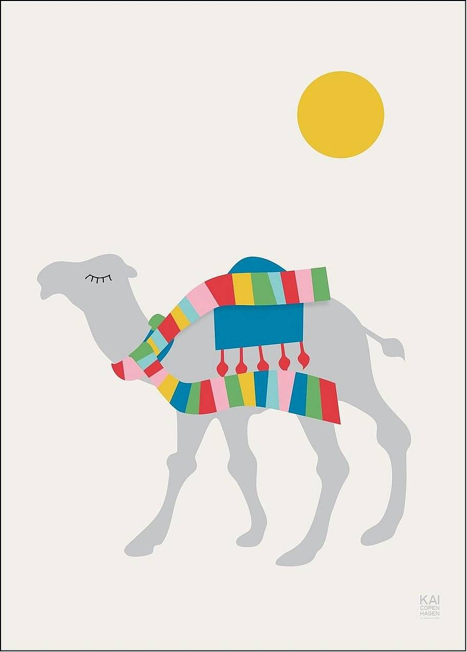 Poster & Frame Dromedary Multi Patterned A3 Poster