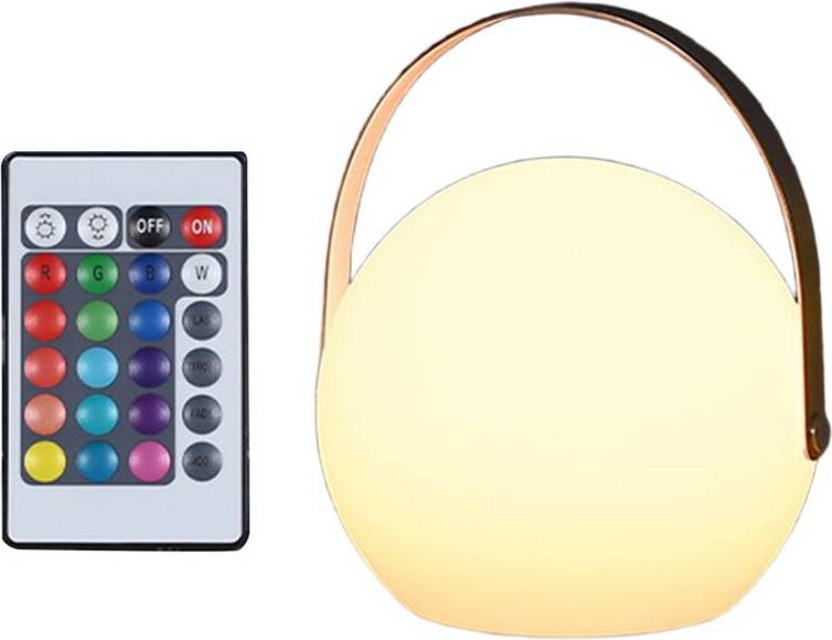 Melitt LED Remote Control Portable Desk Lamp Table Lamp