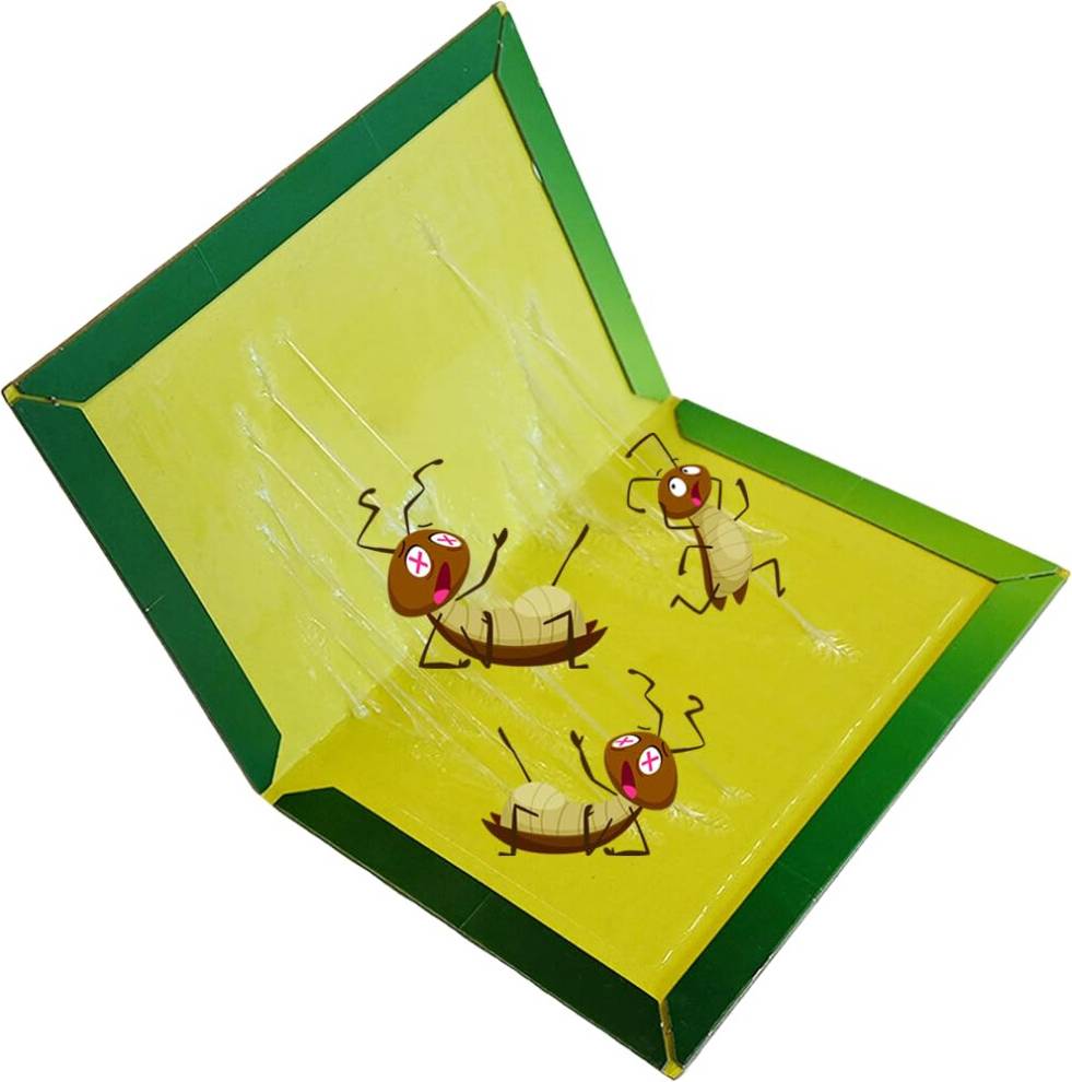 RAM ONLINE 6 Pack Pest Insect Trap Boards 6pcs