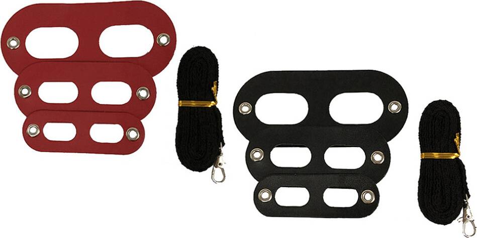 VILLCASE 2 Set Lizard Traction Rope Reptile Harness