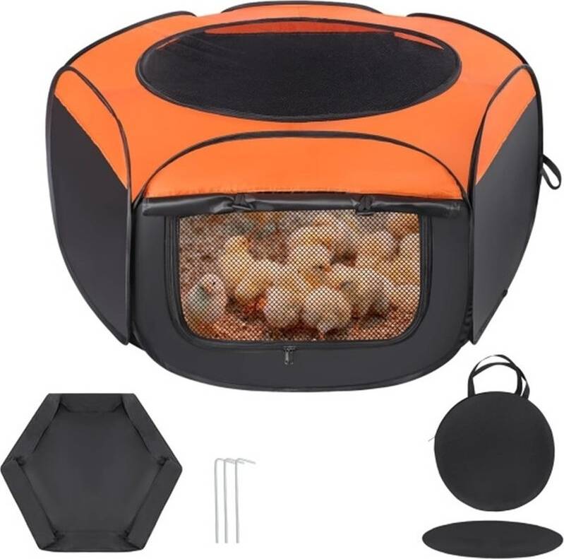 Chick Brooder Starting Kit Set