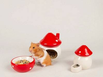 Scruffs Ceramic Toadstool Small Accessories Set