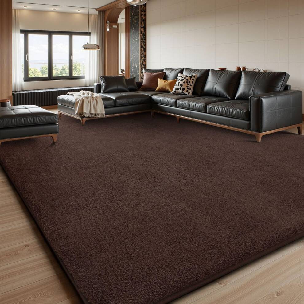 Carpet Rug 240 x 300