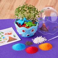 Dinosaur Terrarium Kit
