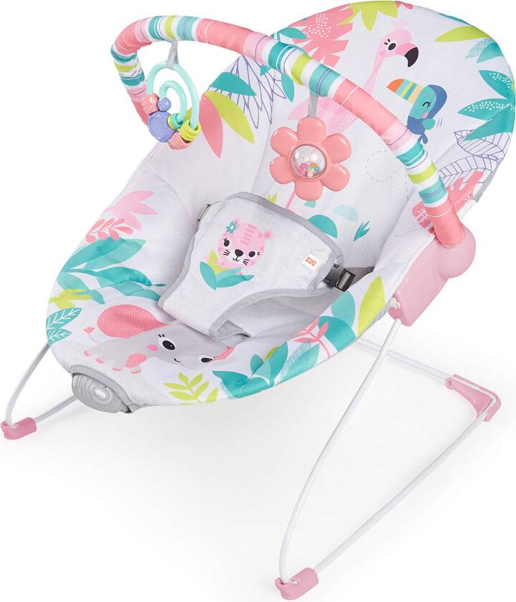 Baby rocker Bright Starts Flamingo Vibes Baby Rocker
