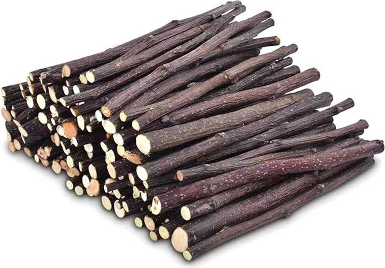 Tlily 100pcs Hamster Rabbits Teeth Grinding Tree Stick
