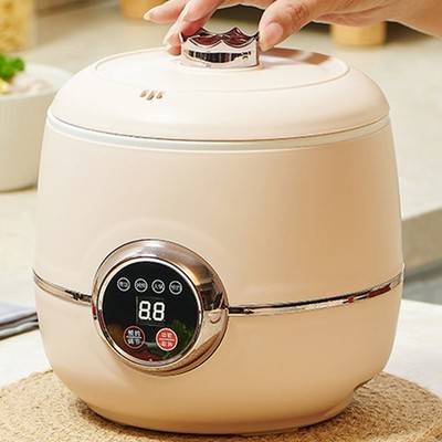 Electric rice cooker Home Mini Electric Rice Cooker Wit