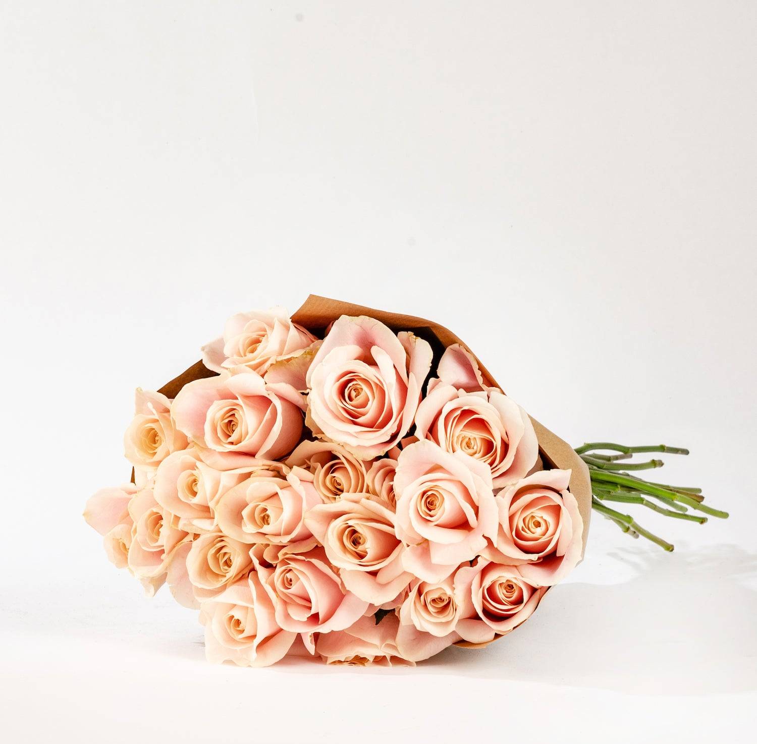Bloom Sweet Avalanche Roses