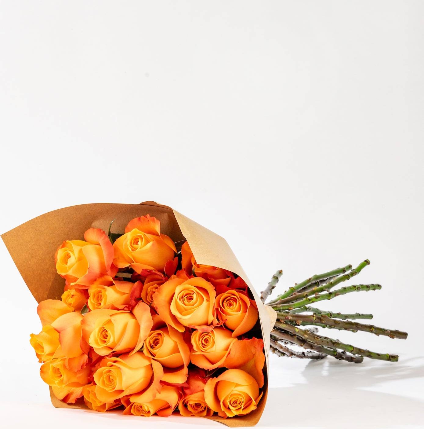 Bloom Arizona Sunset Roses