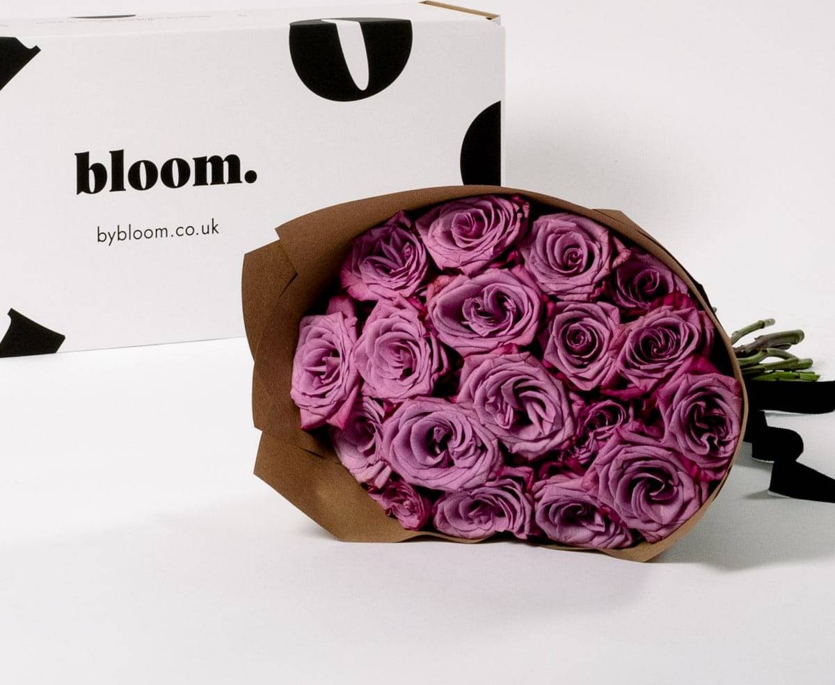 Bloom Muddled Grape Purple Roses