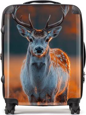 Warren Reed Designer Finn Wilder 00024 Large