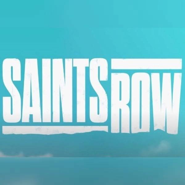 Saints row Saints Row PC Steam Key