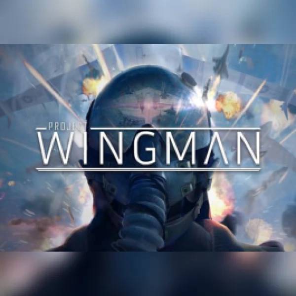 Project Wingman PC Steam Gift