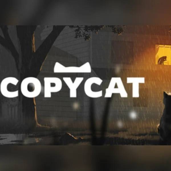 Copycat PC Steam Account