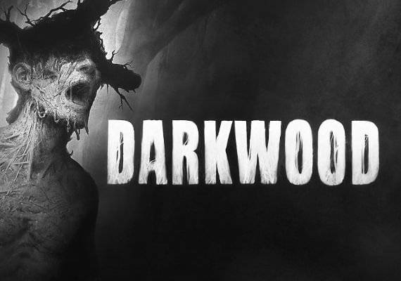 Darkwood PC Steam Key ROW
