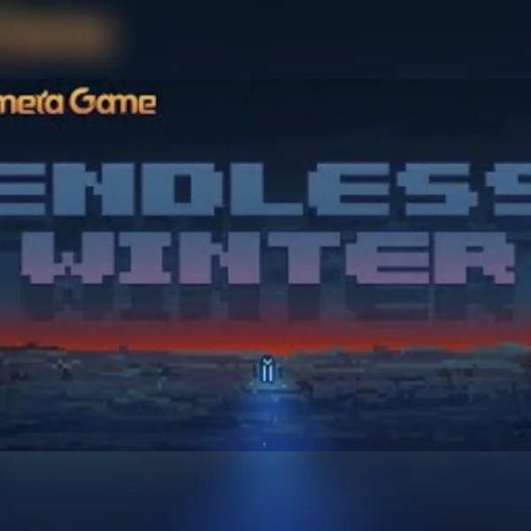 Endless Winter PC Steam Key