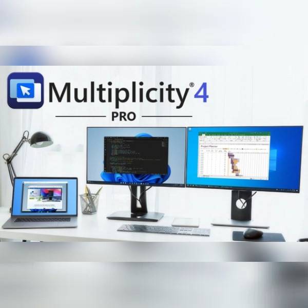 Multiplicity PC Steam Key