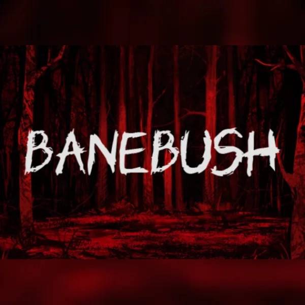 Banebush PC Steam Key