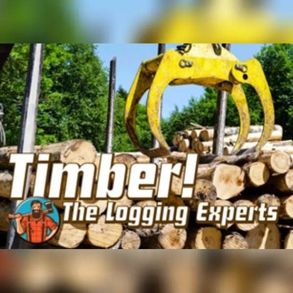 The Logging Experts PC Steam Gift