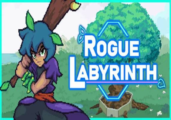 Rogue Labyrinth PC Steam Key ROW
