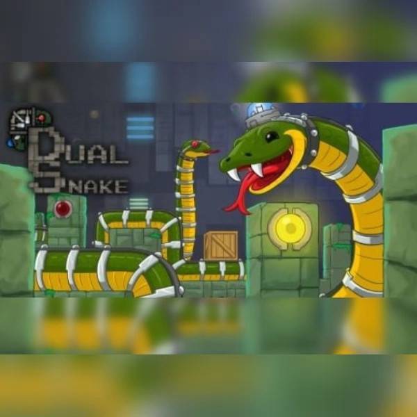 Dual Snake PC Steam Key