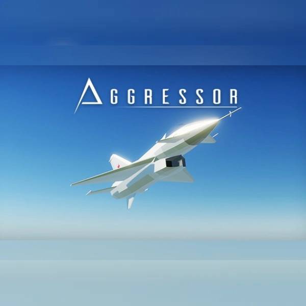 Aggressor PC Steam Key
