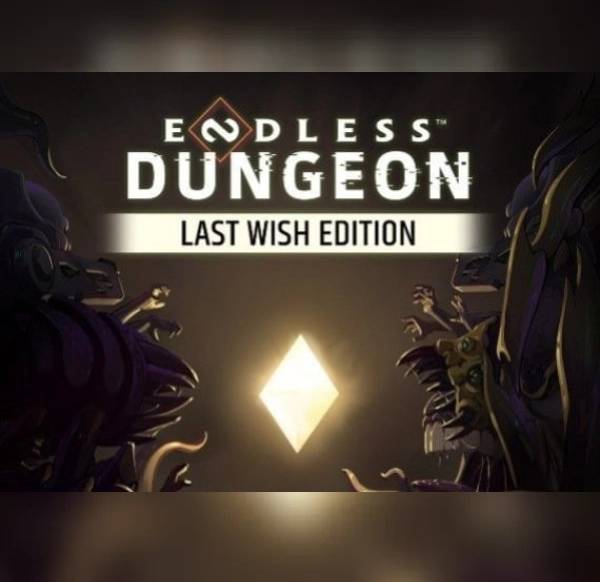 Endless Dungeon Last Wish Edition PC