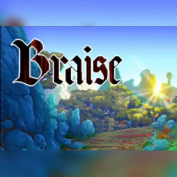 Braise PC Steam Key