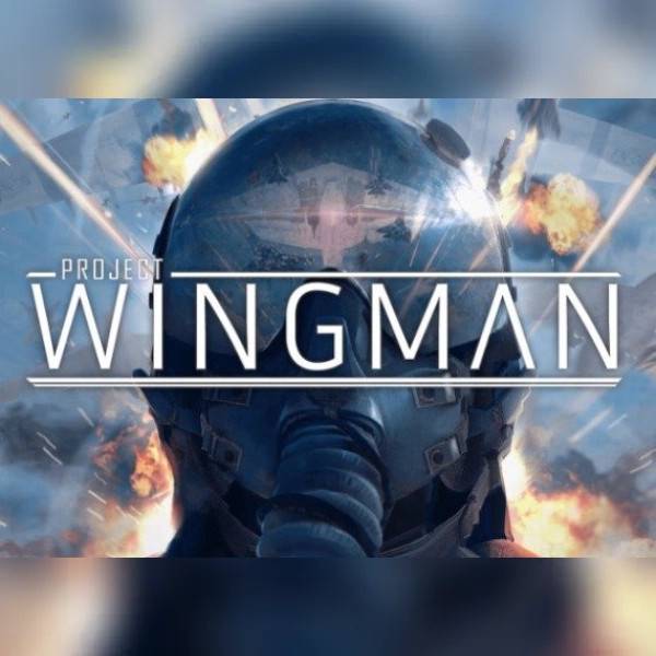 Project Wingman PC Steam Key