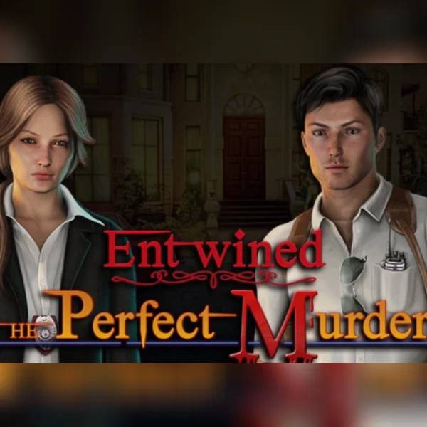 The Perfect Murder PC Steam Key