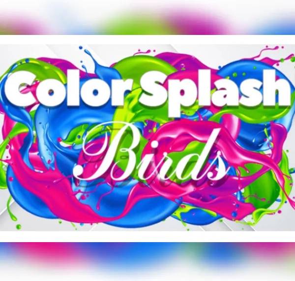 Color Splash Birds PC Steam Key