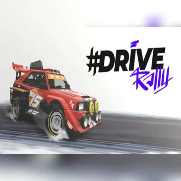 Drive Rally PC Steam Key
