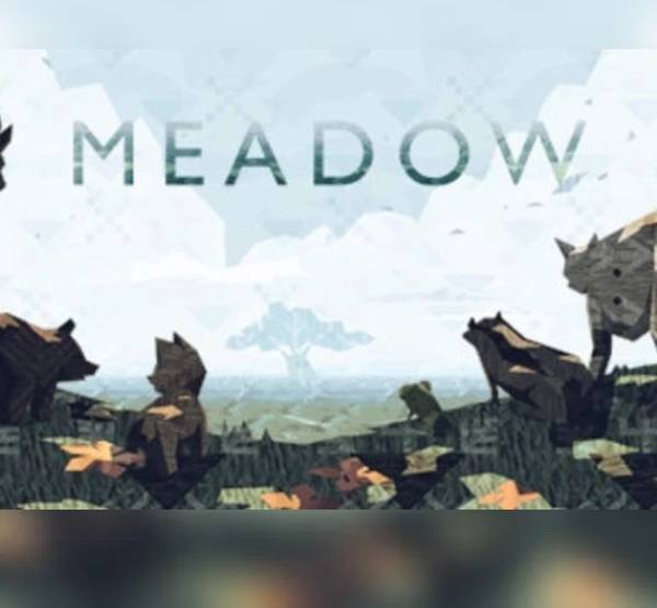 Meadow PC Steam Key
